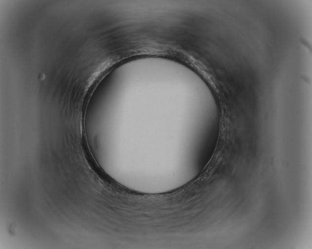 X0000091210011200708301439