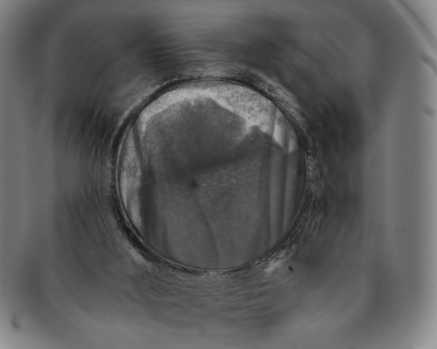 X0000091210012200708301439