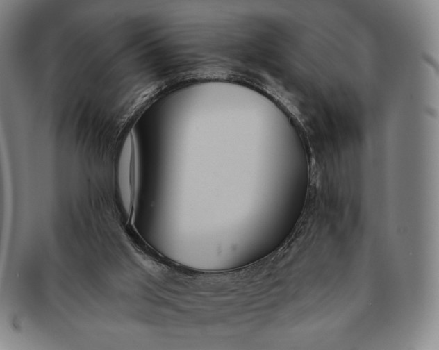 X0000091210013200708301439