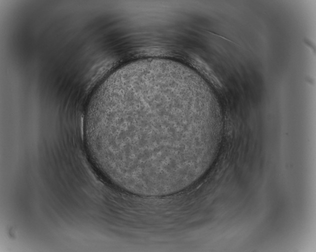 X0000091210014200708301439