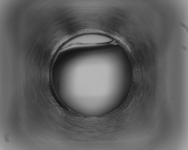 X0000091210015200708301439