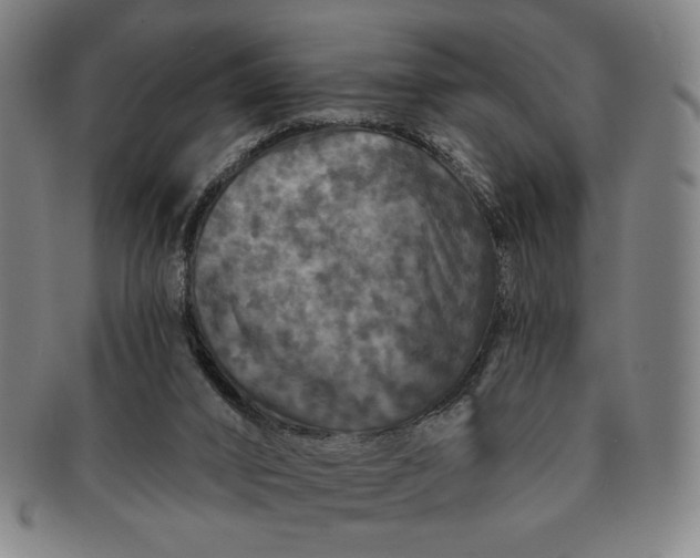 X0000091210016200708301439