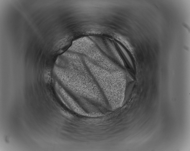 X0000091210017200708301439