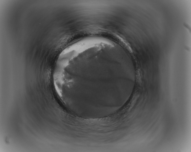 X0000091210018200708301439