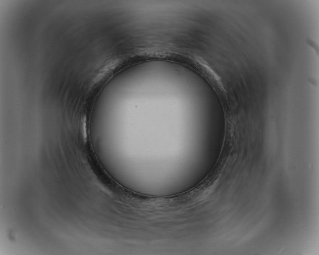 X0000091210020200708301439