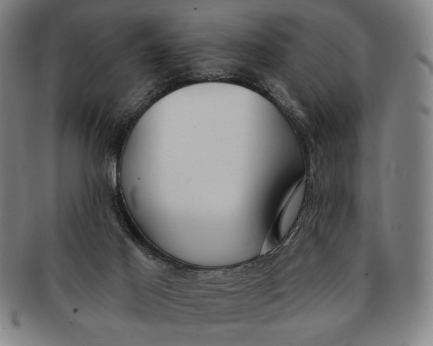 X0000091210021200708301439