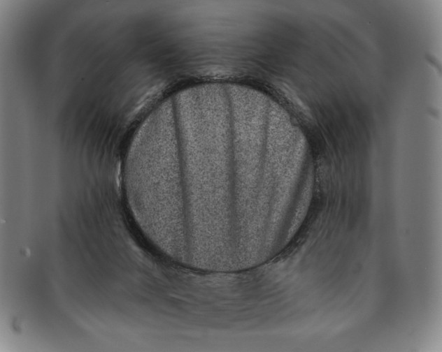 X0000091210024200708301439