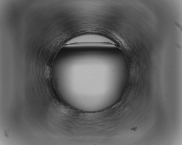 X0000091210025200708301439