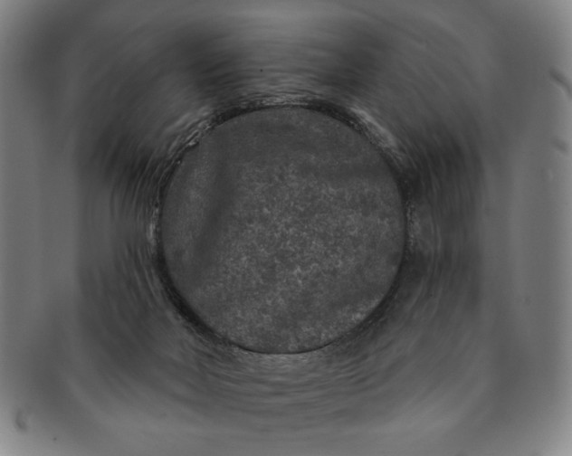 X0000091210026200708301439