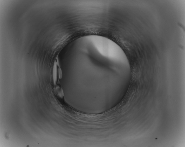 X0000091210027200708301439