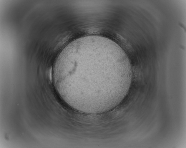 X0000091210028200708301439