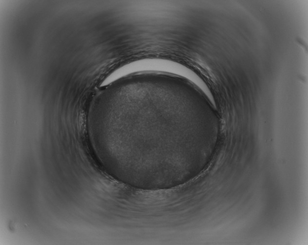 X0000091210029200708301439