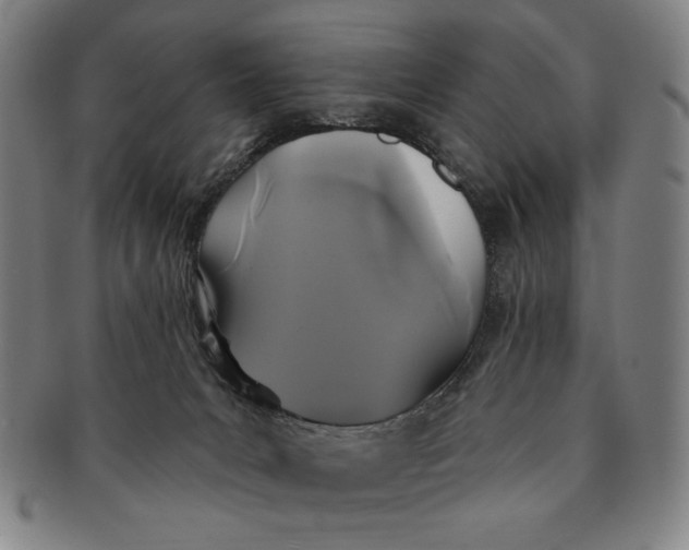 X0000091210031200708301439