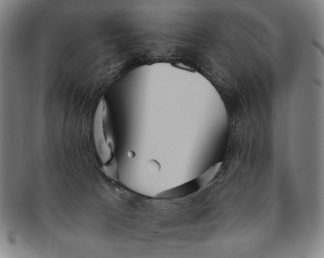 X0000091210033200708301439