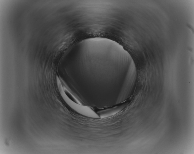 X0000091210039200708301439