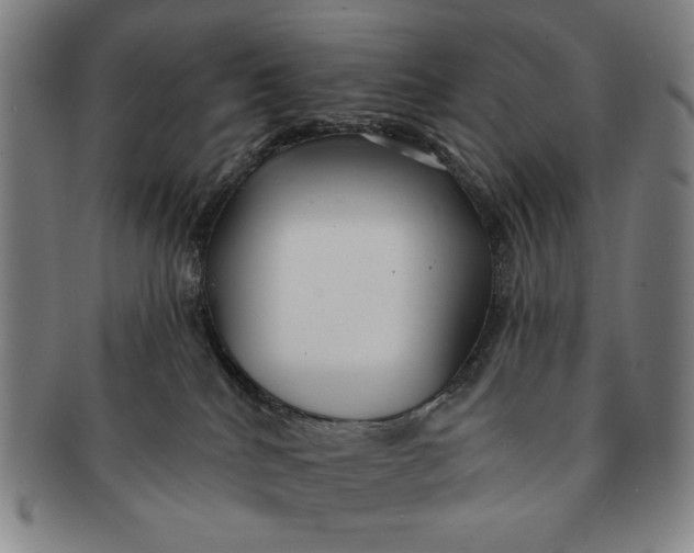 X0000091210040200708301439