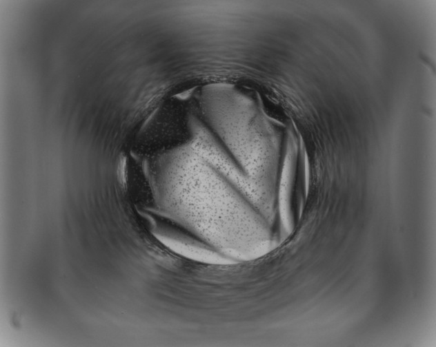 X0000091210041200708301438