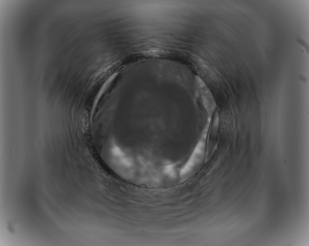 X0000091210043200708301438