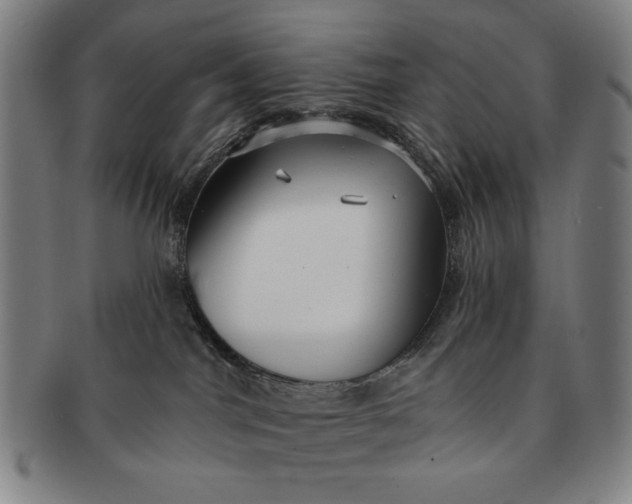 X0000091210044200708301438