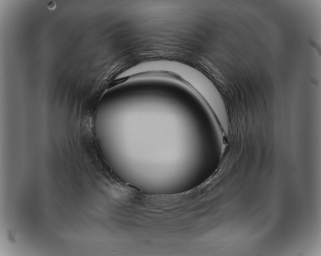 X0000091210045200708301438