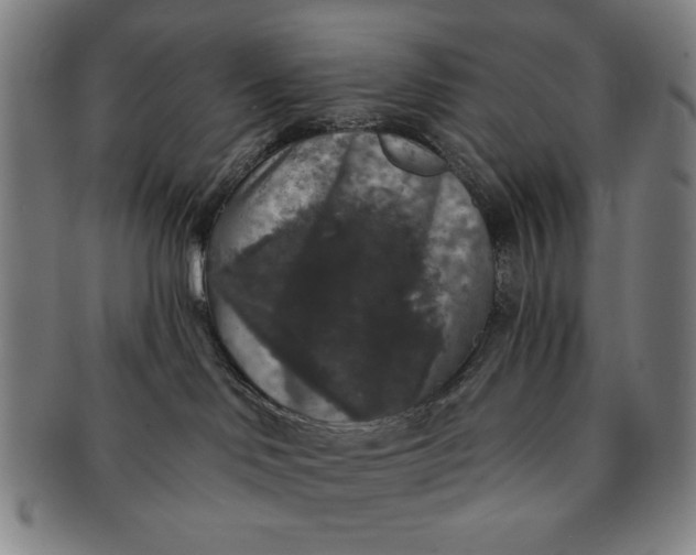 X0000091210046200708301438