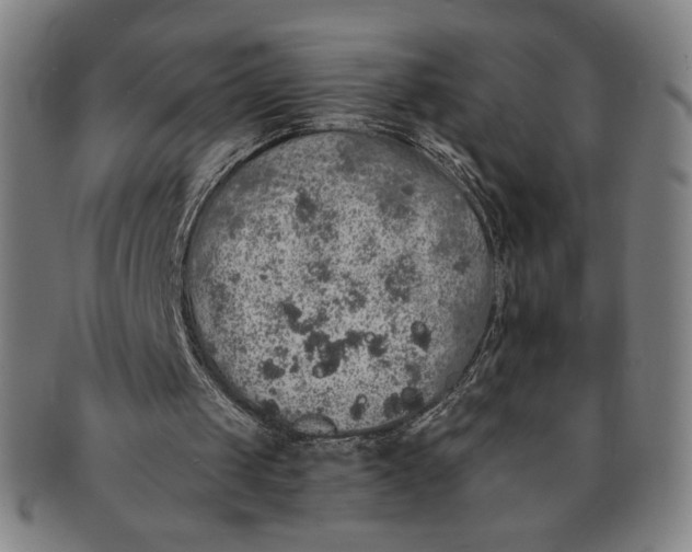 X0000091210049200708301438