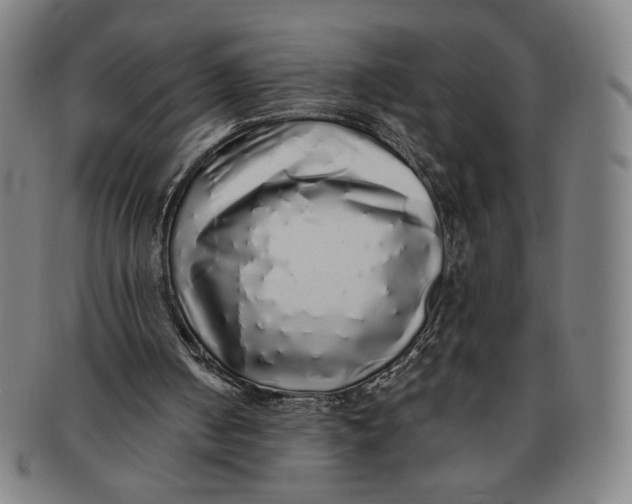 X0000091210050200708301438