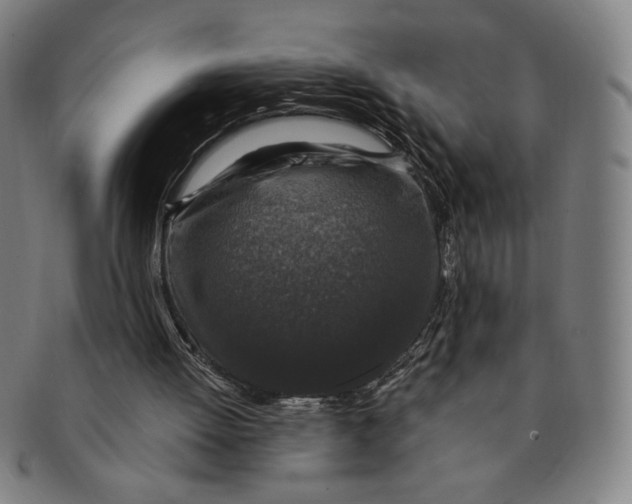 X0000091210052200708301438