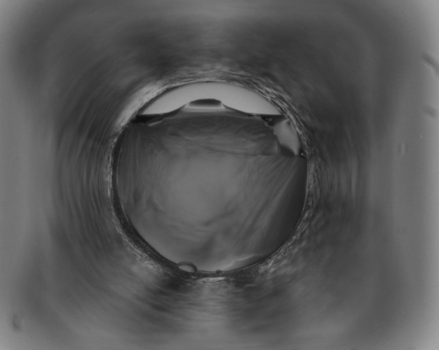 X0000091210054200708301438