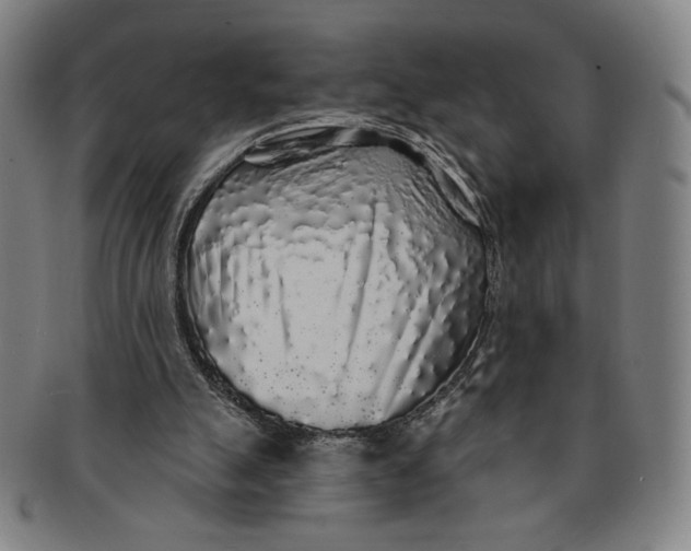 X0000091210055200708301438