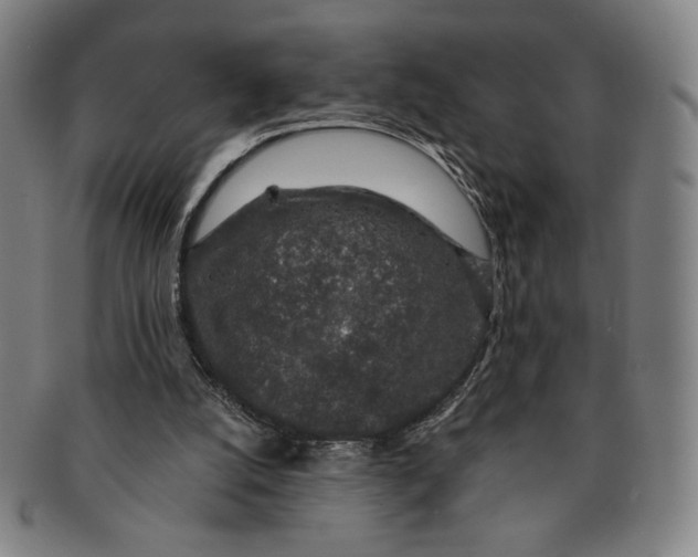 X0000091210056200708301438