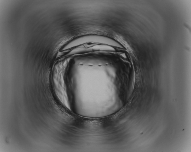 X0000091210058200708301438