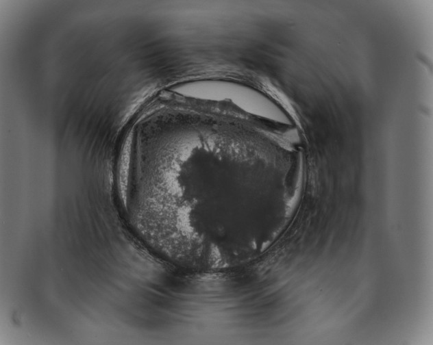 X0000091210059200708301438