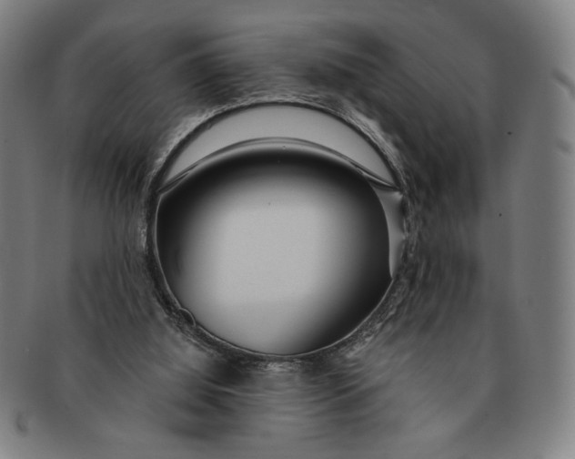 X0000091210060200708301438