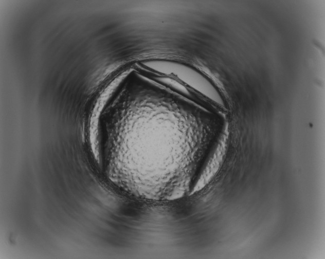 X0000091210062200708301438