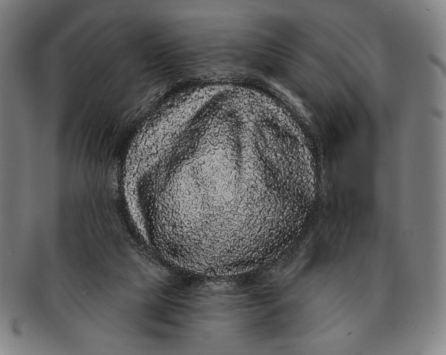 X0000091210065200708301438