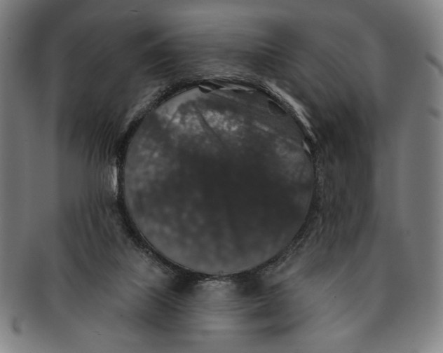 X0000091210067200708301438