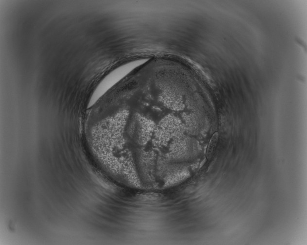 X0000091210069200708301438