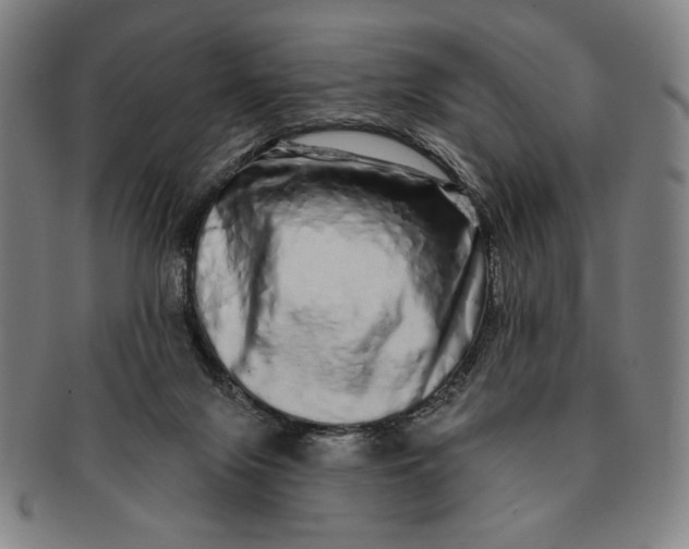 X0000091210071200708301438