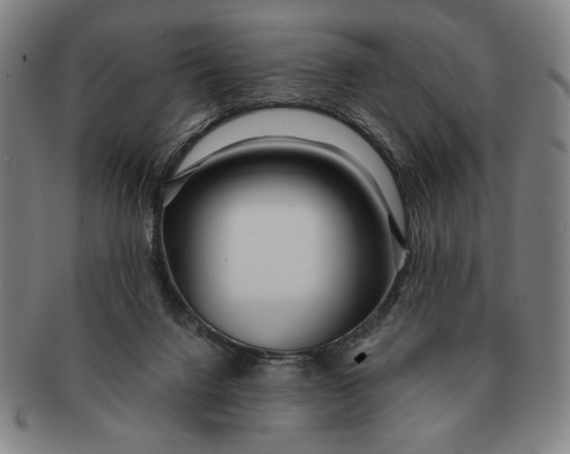 X0000091210072200708301438