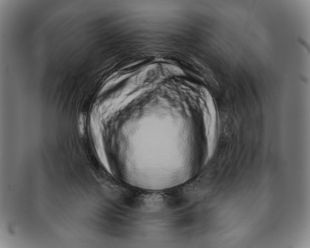 X0000091210075200708301438