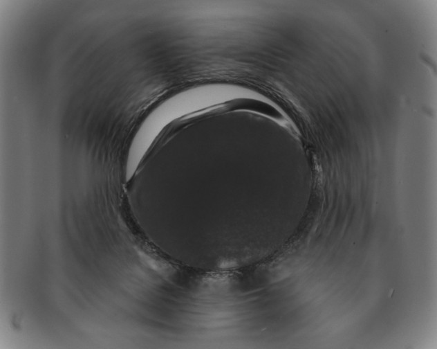 X0000091210076200708301438