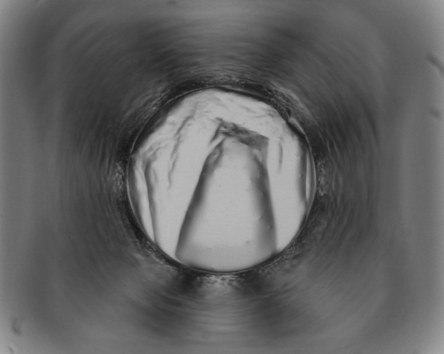 X0000091210077200708301438