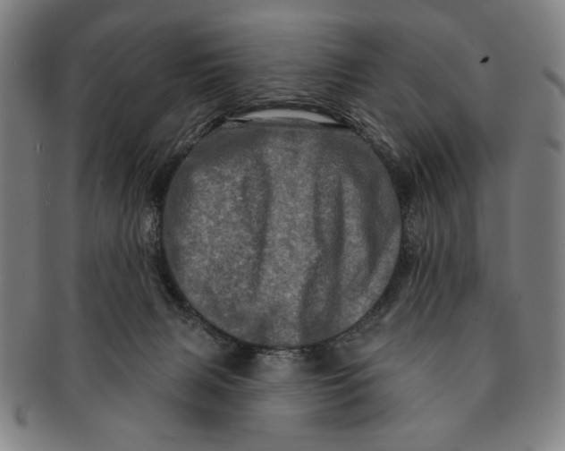 X0000091210079200708301438