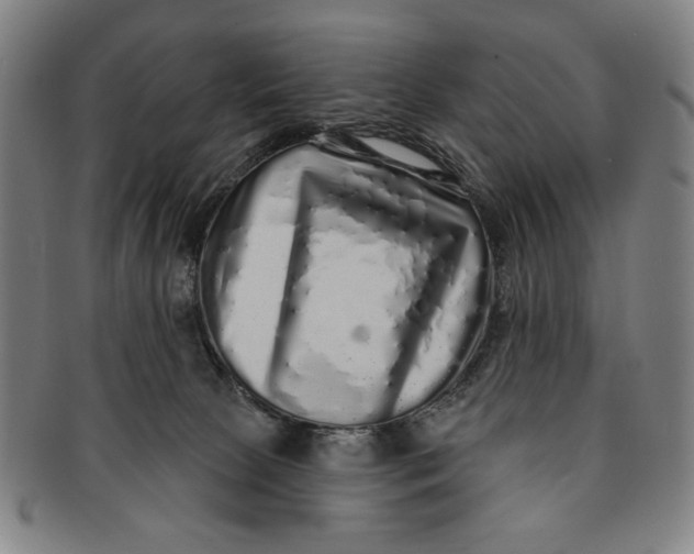 X0000091210081200708301438