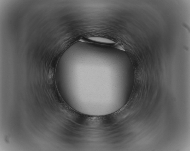 X0000091210082200708301438