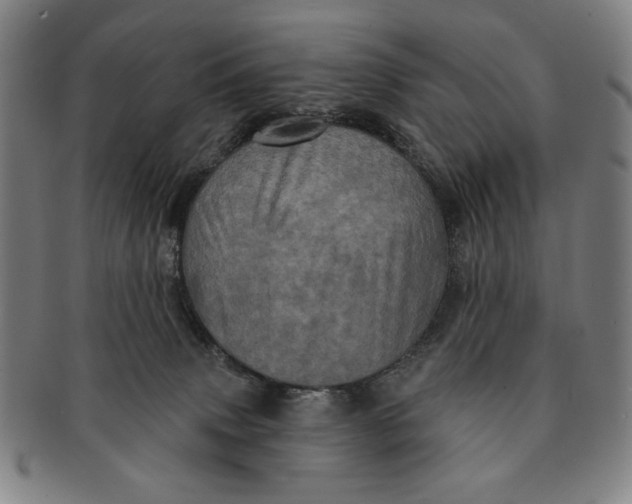 X0000091210083200708301438