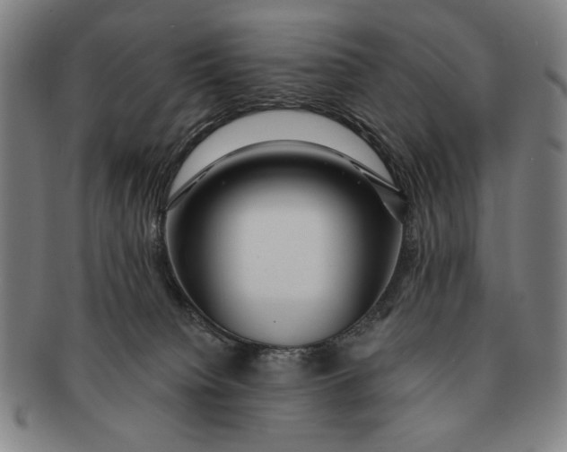 X0000091210084200708301438