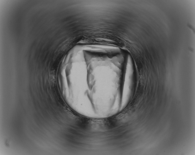 X0000091210085200708301438