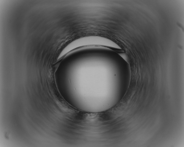 X0000091210088200708301438